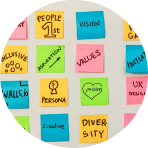 Beginner Friendly Program